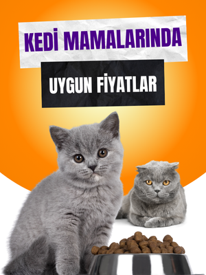 Kedi Mamalarında Özel Fırsatlar!